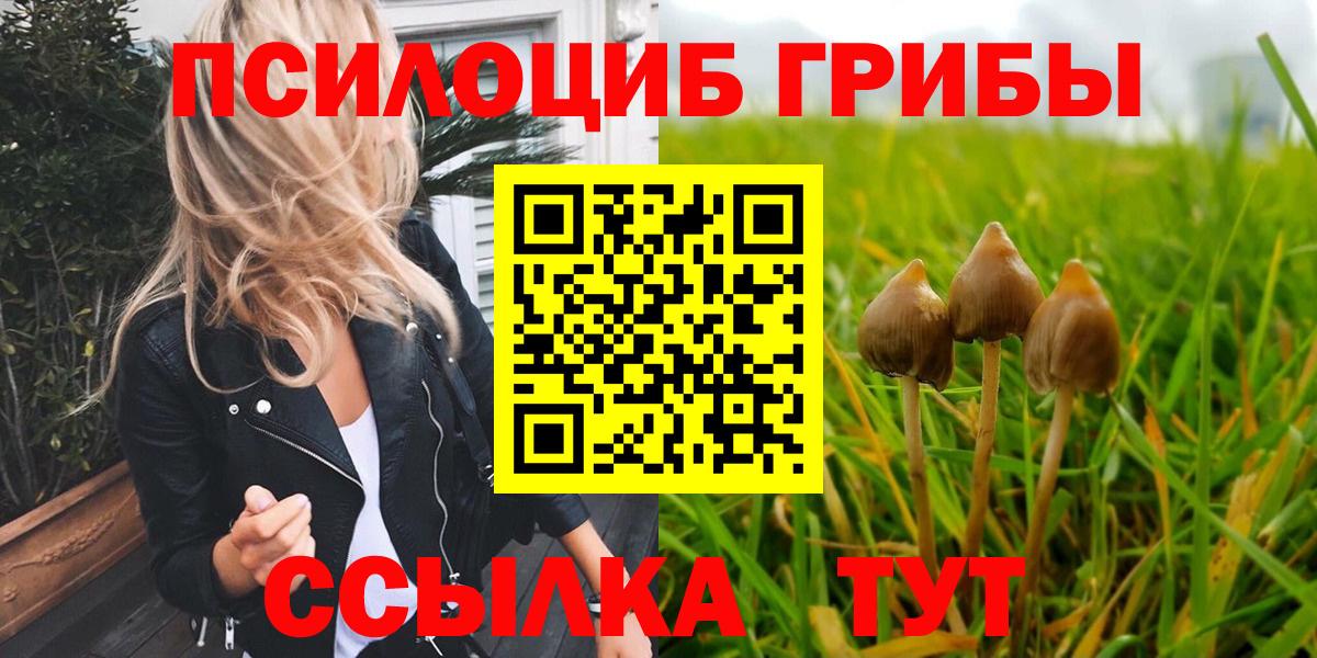 Обь  Псилоцибиновые грибы Cubensis  Вход с VPN 